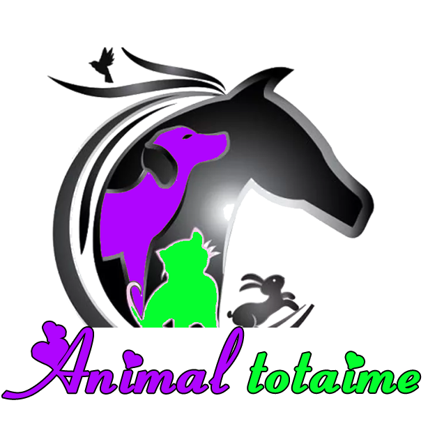 Voir le site