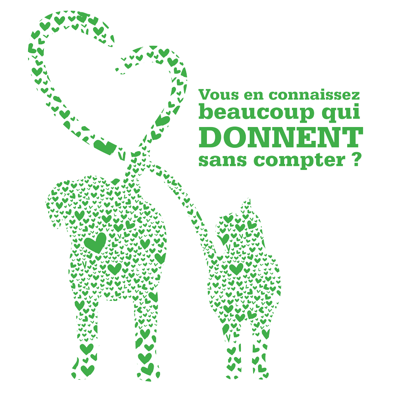 Création et mise en ligne du site de Dons de Animaux Secours