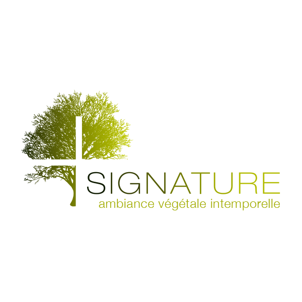 Voir le site