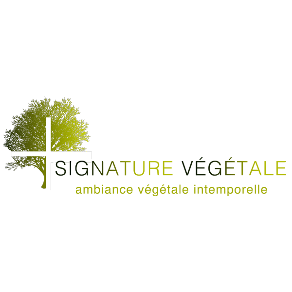 Refonte du site de Signature Végétale