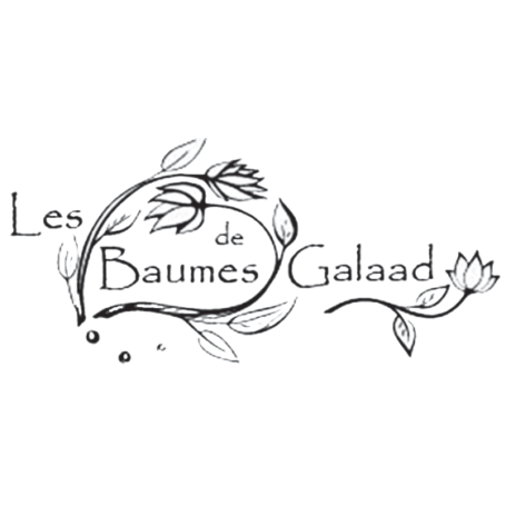 Voir le site