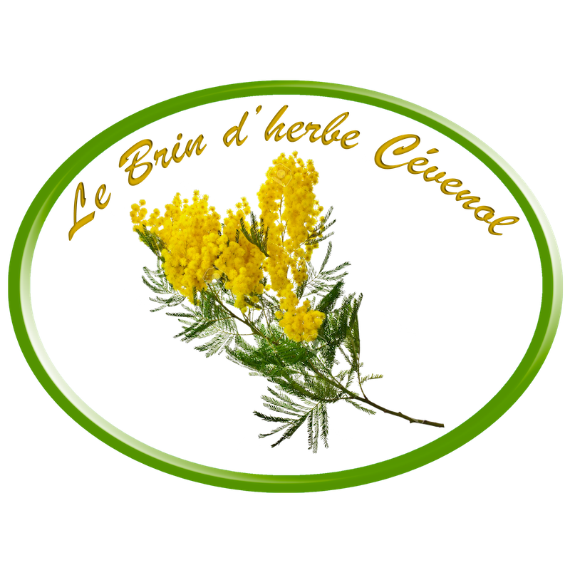 Voir le site
